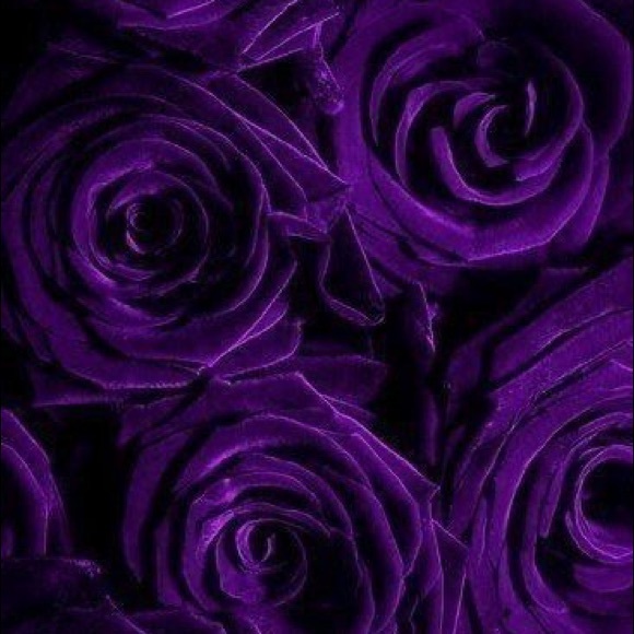 purpleroses824